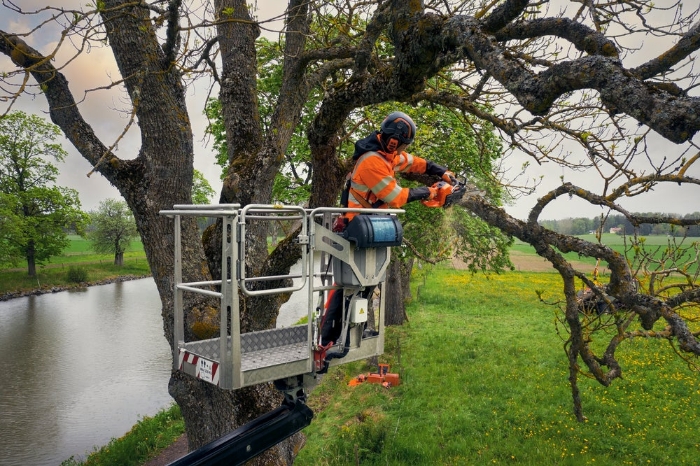 Husqvarna Motorsag 540 XP® Mark III Chainsaw 13 1